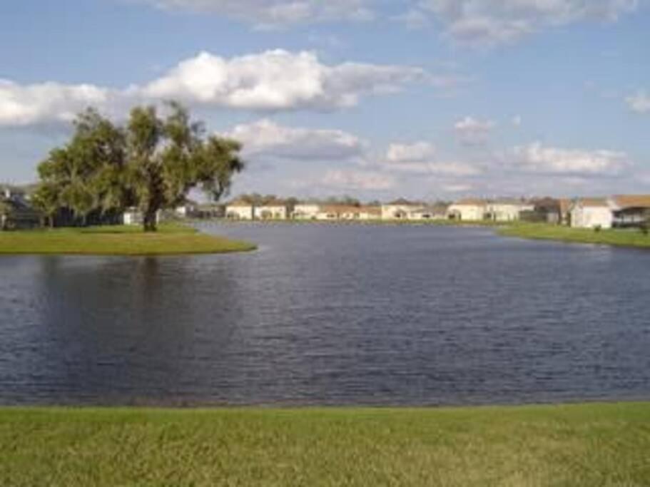 Gone 2 Florida Vacation Homes Four Corners Rum bild